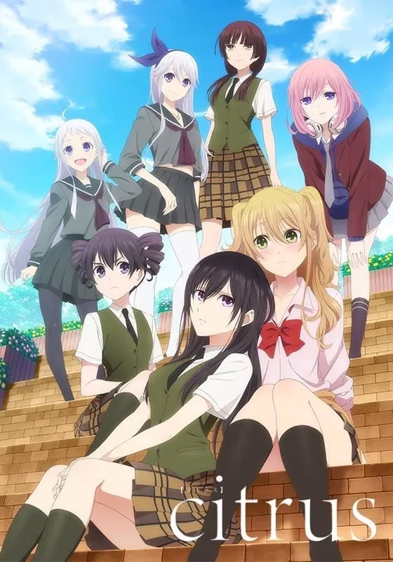 citrus~柑橘味香气~ citrus~柑橘味香气~