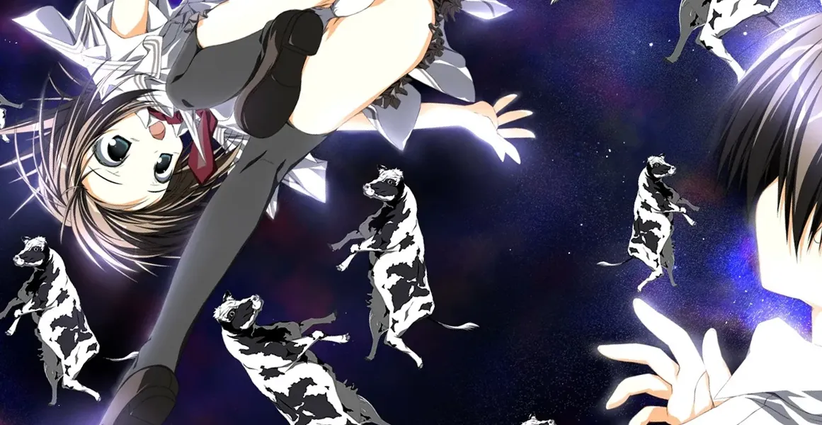 Banner image of the blog