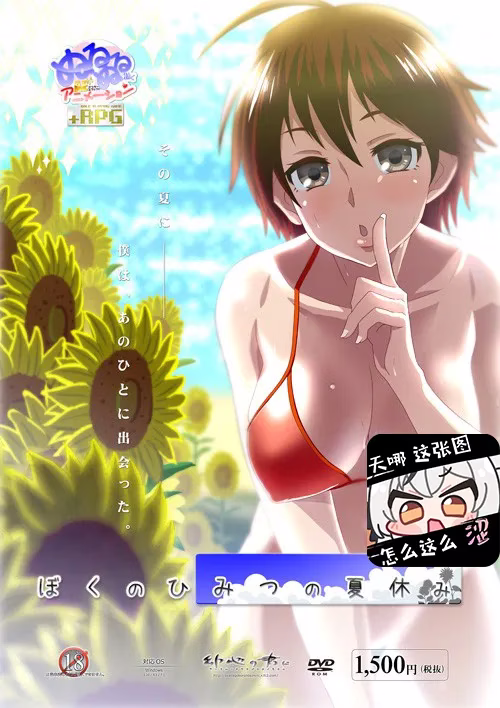 【PC+安卓直装】ぼくのひみつの夏休み/我的暑假回忆/我的秘密夏日回忆 v2.0【+はなまる/花丸篇v1.1.9】【机翻】