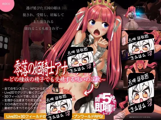 【PC】零落の姫騎士アナスティア/零落姬骑士安娜斯忒娅